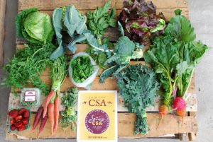 Produce lying on a wood table with a CSA brochure.