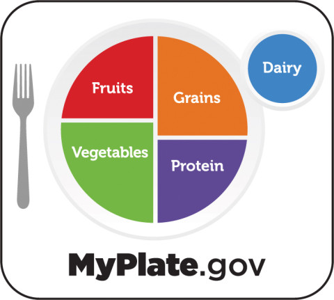 A round plate is divided into 4 quadrants, half with fruits and vegetables, and half with protein and grains. Dairy is represented in a smaller cup.