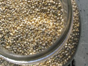 Quinoa in a glass jar.