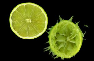 A slice of lime and a squeezed half of a lime.