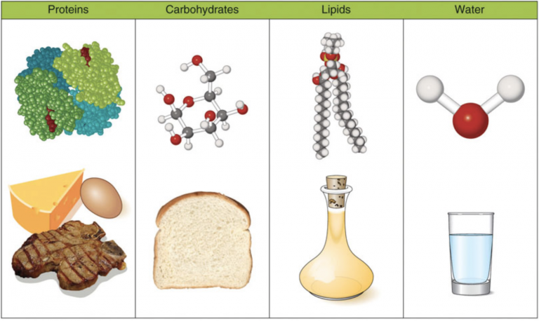 Chemical structure is simplest for water and most complex for proteins