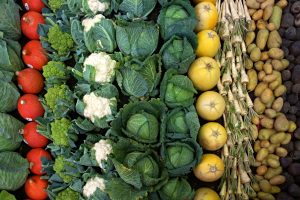 Green and white cauliflower heads are lined up next to heads of cabbage and other colorful vegetables.