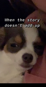 Image of a suspicious looking chihuahua and the text, "When the story doesn't add up"