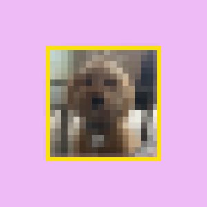 Pixalated picture of a dogs face