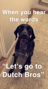 Meme of a dog sitting, excited to go and the words "When you hear the words 'Let's go to Dutch Bros'".