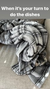 Meme of a dog almost hidden, wrapped up in a grey plaid blanket and the words "When it's your turn to do the dishes".