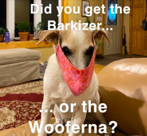 Meme of a dog wearing a face covering and the words "Did you get the Barkizer... or the Wooferna?"