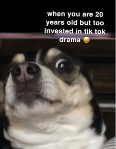 A meme depicting a dog&#039;s face looking suspiciously with a side-eye glance and the words &quot;when you are 20 years old bu too invested in Tik Tok drama&quot; and a smiling face, open mouth, cold sweat emoji.