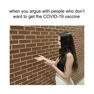 A meme depicting a young woman with long, dark hair gesturing to a brick wall with the words "when you argue with people who don't want to get the COVID-19 vaccine".