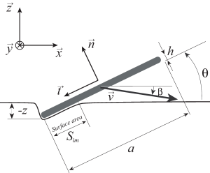 Figure 4.1. Diagram showing the cross-section of a flat stone during the collision process (adapted from L. Bocquet's 2003 article).