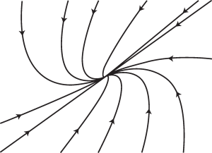 Figure 13.3. Sketch of the phase portrait of (13.5) when the origin is a stable degenerate node.