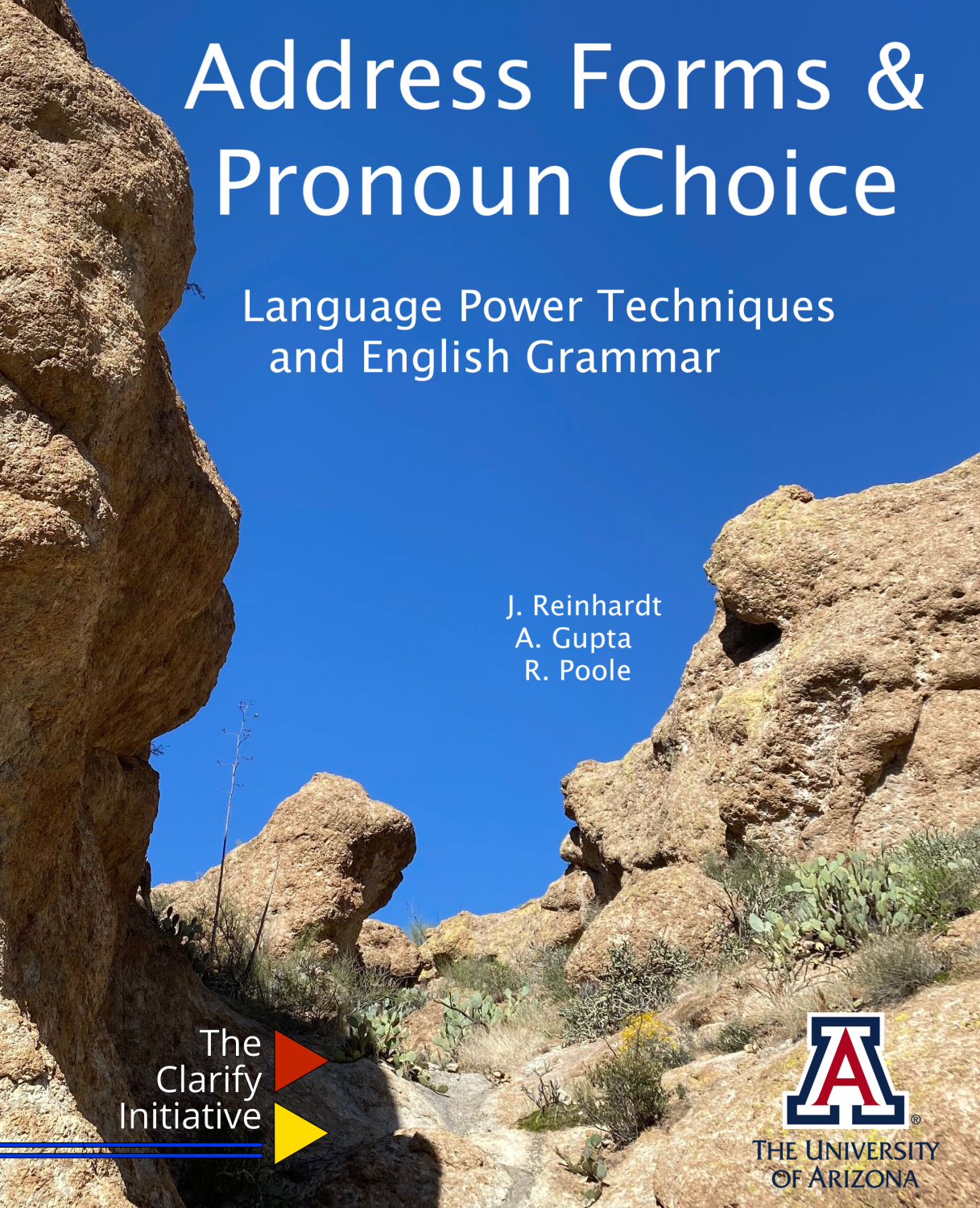 Cover image for Address Forms & Pronoun Choice: A Language Power Technique