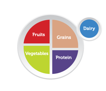 Infographic showing a picture of a plate divided into four segments: labeled "Fruits,", "Grains," "Protein," and "Vegetables." Next to the plate is a circle that's labeled "Dairy."