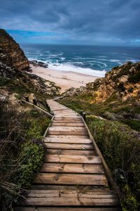 Rough path to the beach depicting failure can lead to success