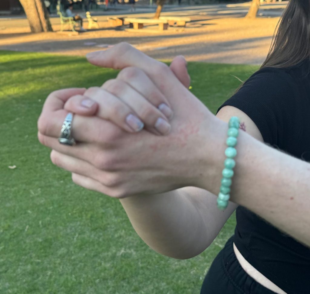 Figure 23.34: Lark’s L hand and robin’s R hand in ballroom hold