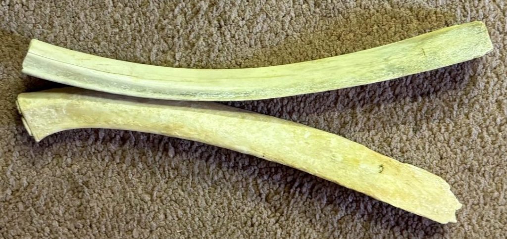 the use of bones as a percussive instrument