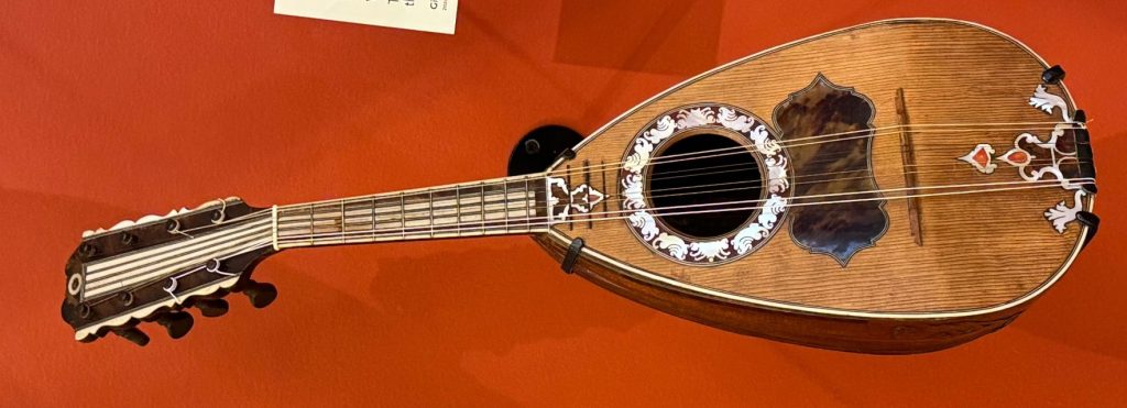 Egg shaped stringed instrument.