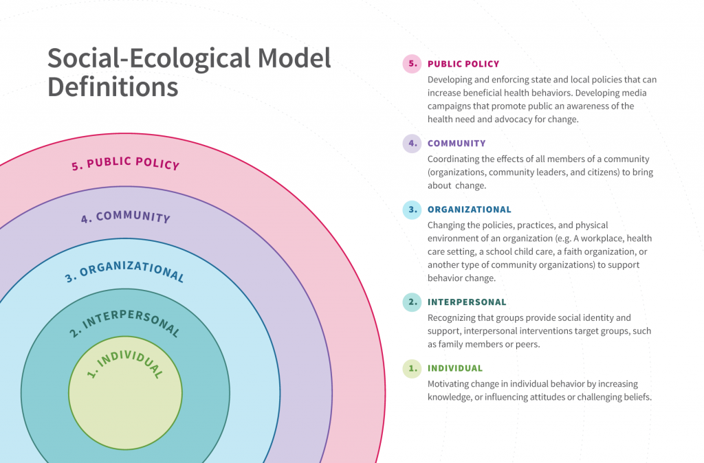 ecological model essay